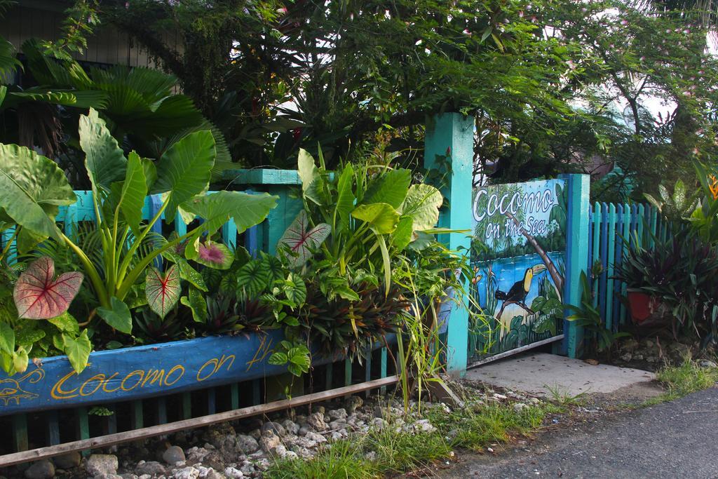 مبيت وإفطار Bocas del Toro Cocomo On The Sea المظهر الخارجي الصورة